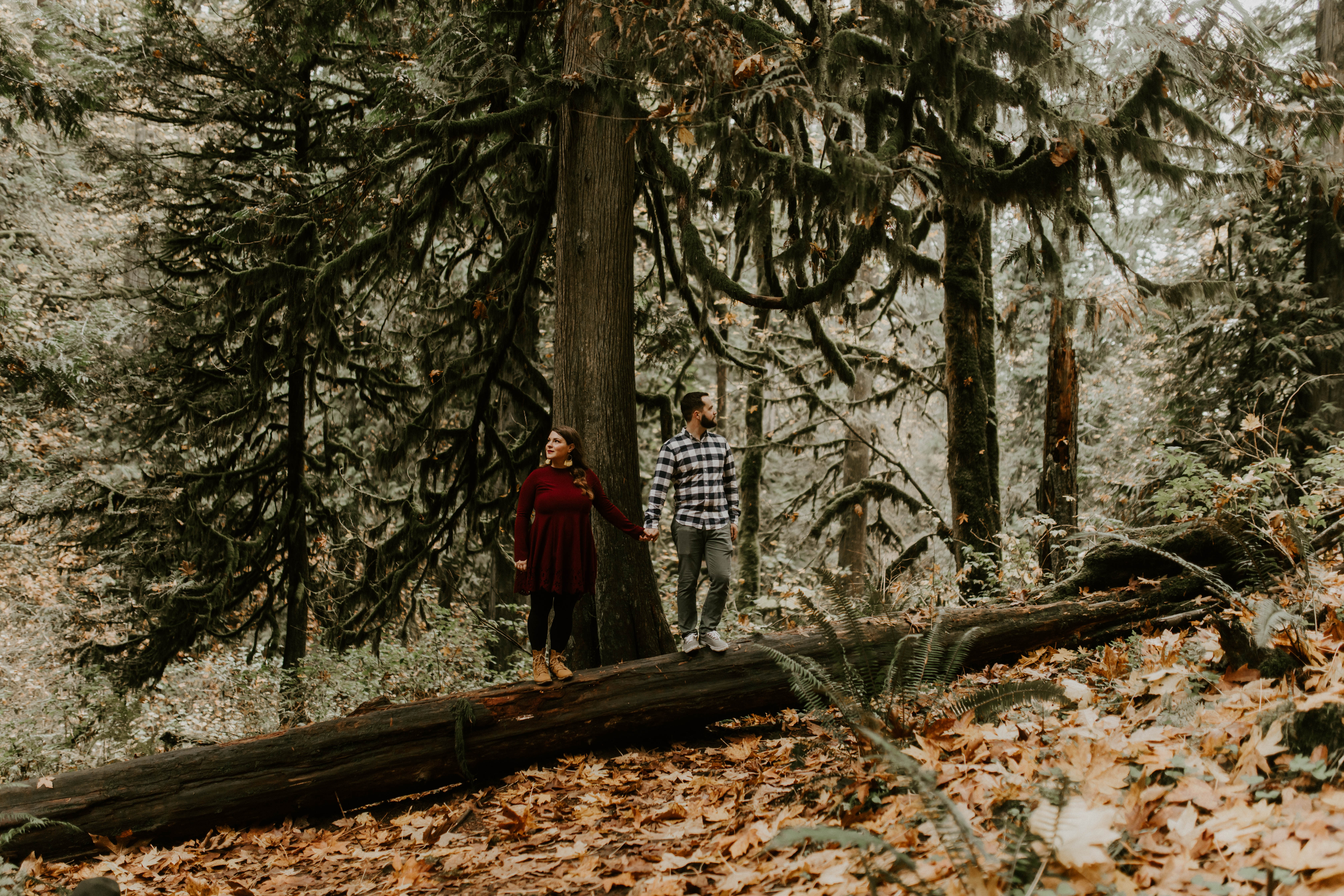Allison and Brandon stand on a fallen tree at Latourell Falls. Engagement shoot by Sienna Plus Josh.