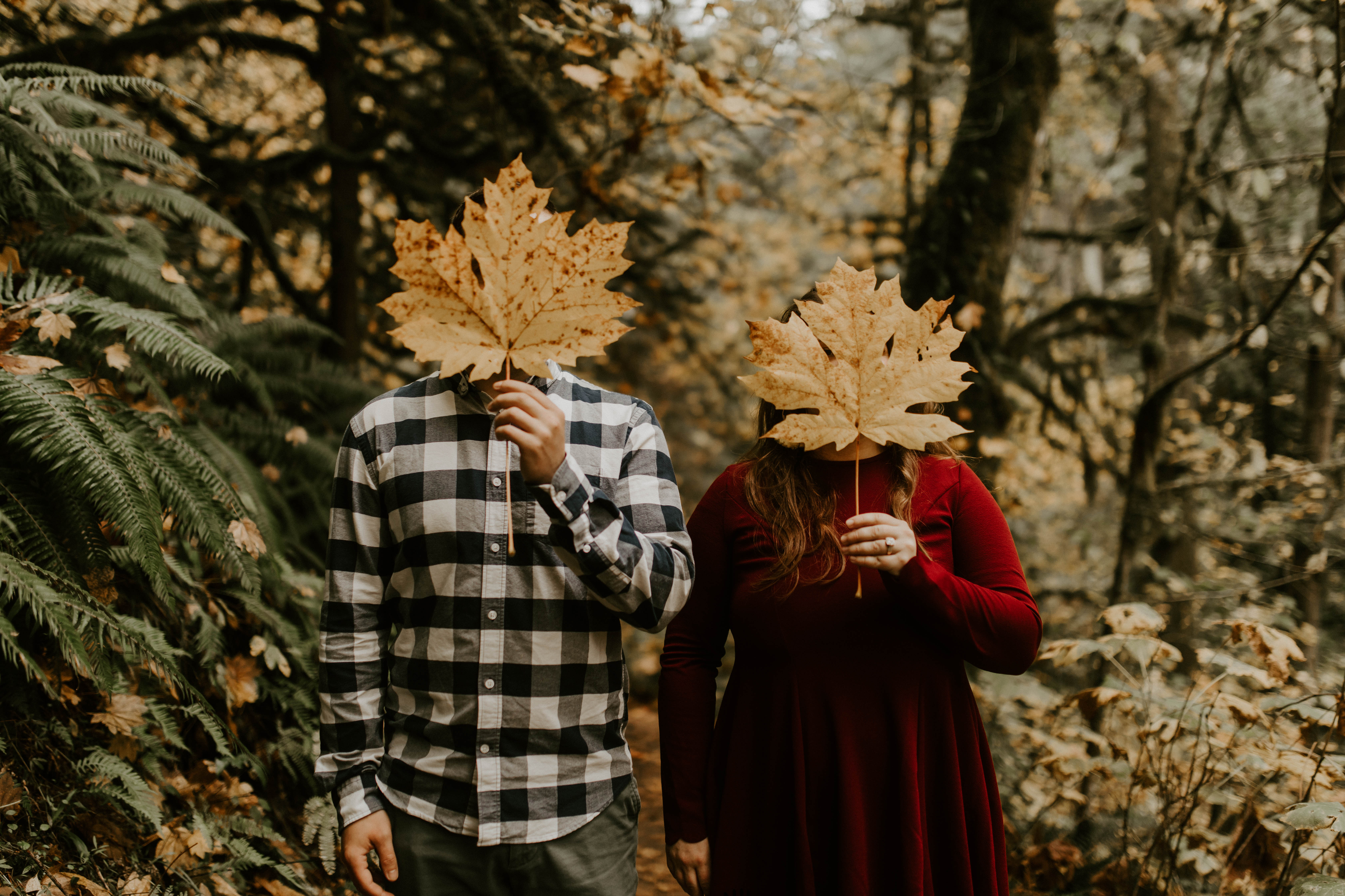 Allison and Brandon hide their faces behind giant leaves along the trail to Latourell Falls. Engagement shoot by Sienna Plus Josh.