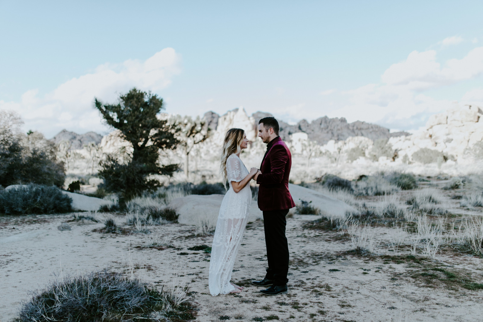 The view of Joshua Tree National Park, CA Elopement wedding photography at Joshua Tree National Park by Sienna Plus Josh.