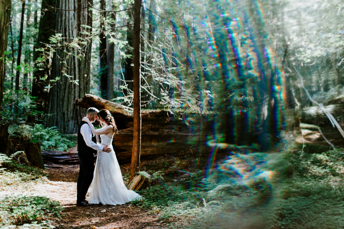 Tim and Hannah stand near a redwood tree.