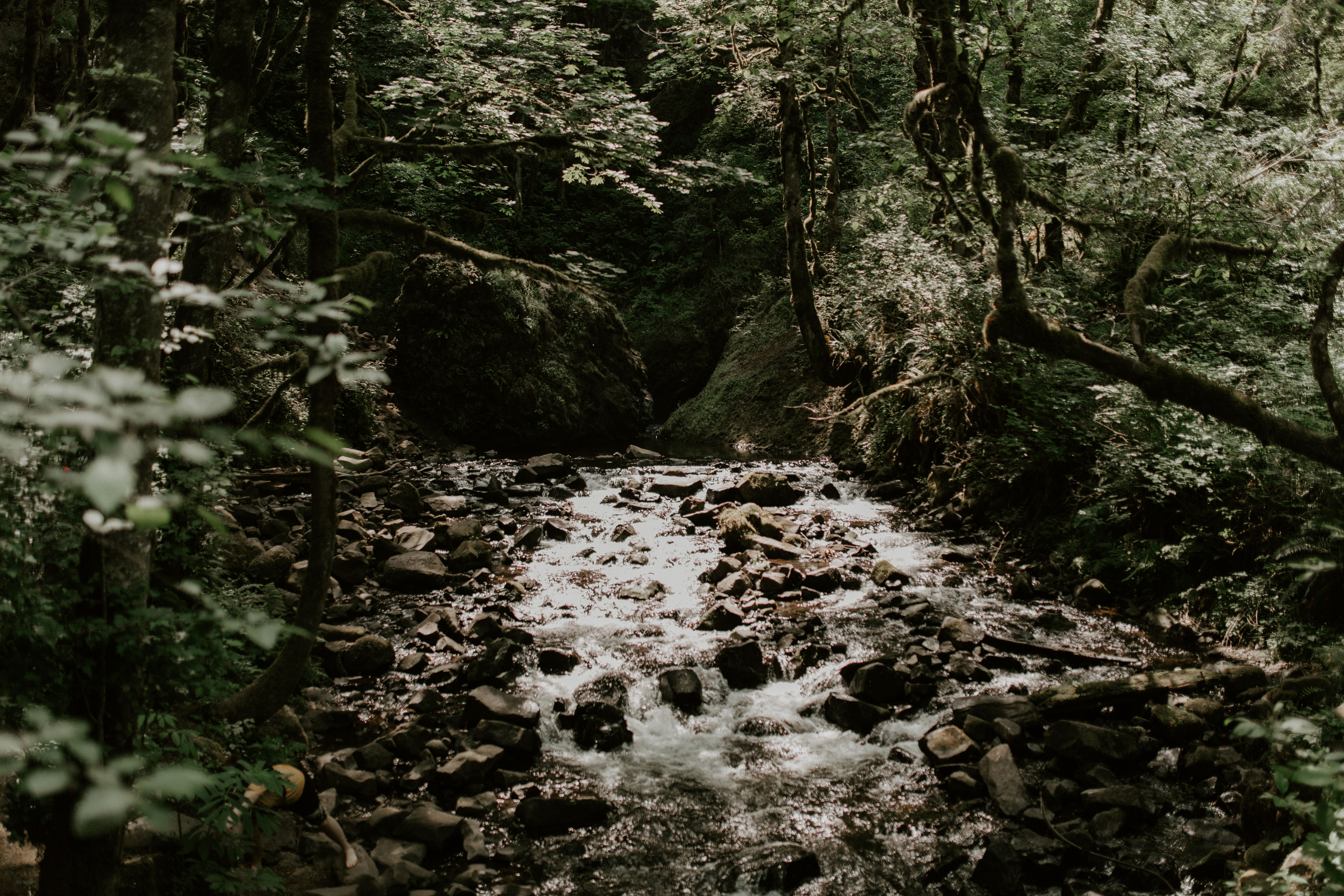 A view of the river at Bridal Veil Falls, Oregon during their Oregon elopement. Elopement photography in Portland Oregon by Sienna Plus Josh.