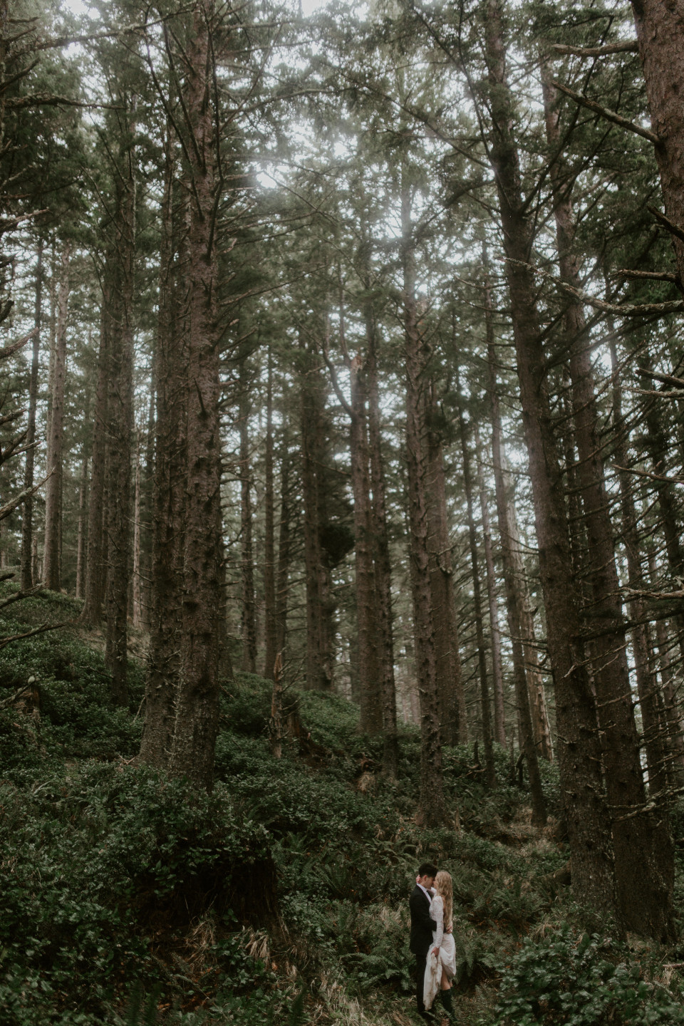 Hannah and Grant stand in the woods of Cannon Beach, Oregon. Wedding photography in Portland Oregon by Sienna Plus Josh.