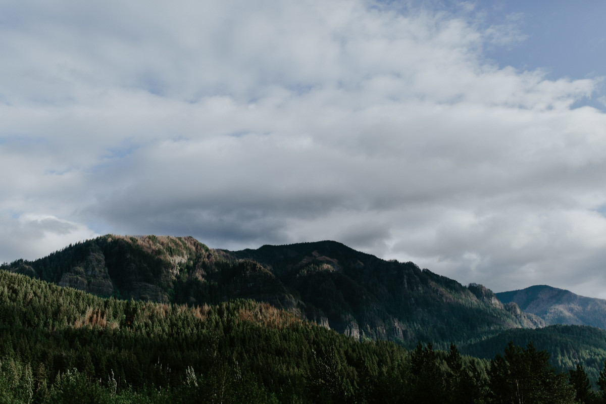 A view of the mountains at the Columbia Gorge, Oregon. Elopement photography in Portland Oregon by Sienna Plus Josh.