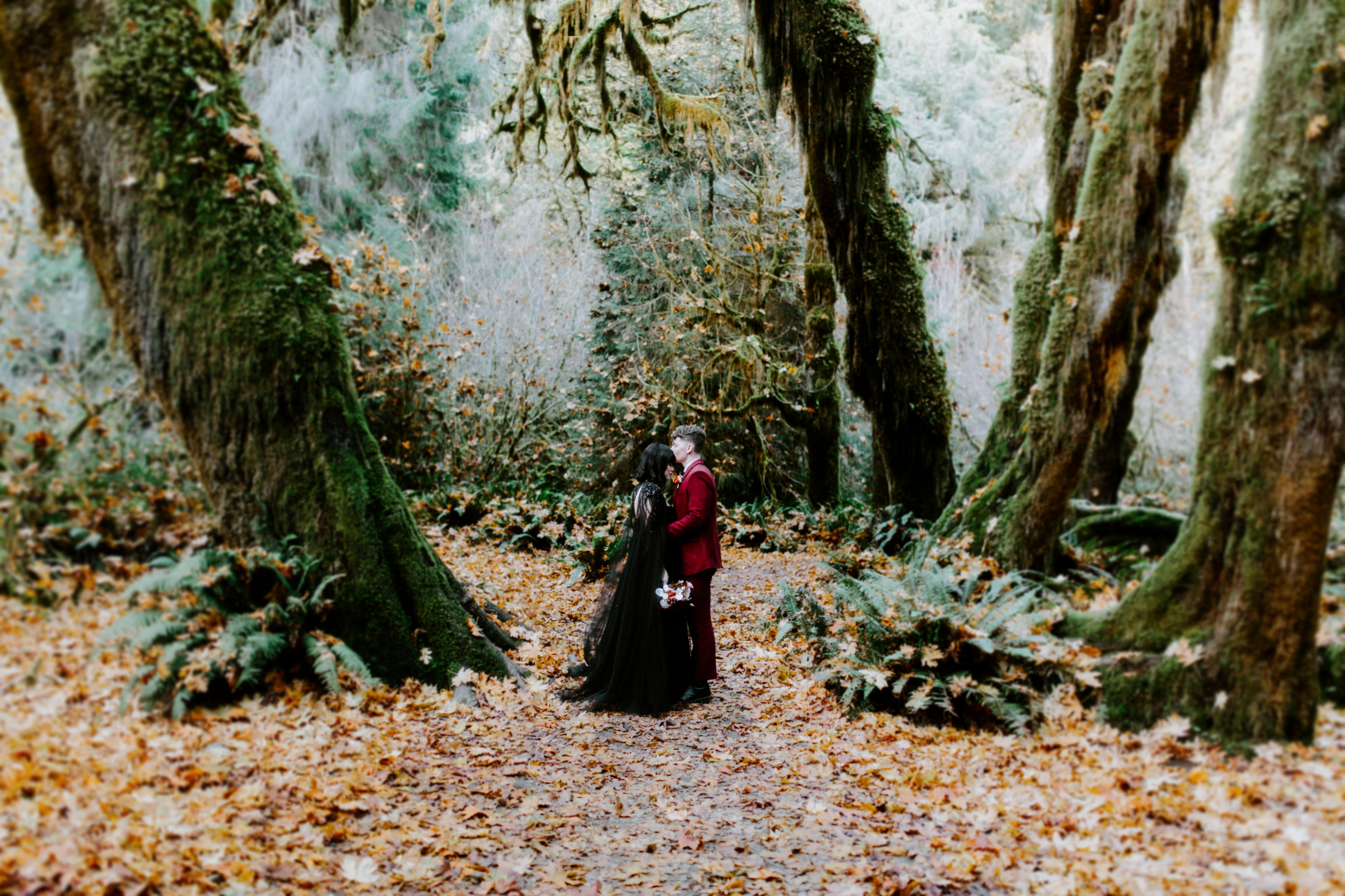 Brett and Bethany stand together in clearing of the Hoh Rainforest after their elopement.
