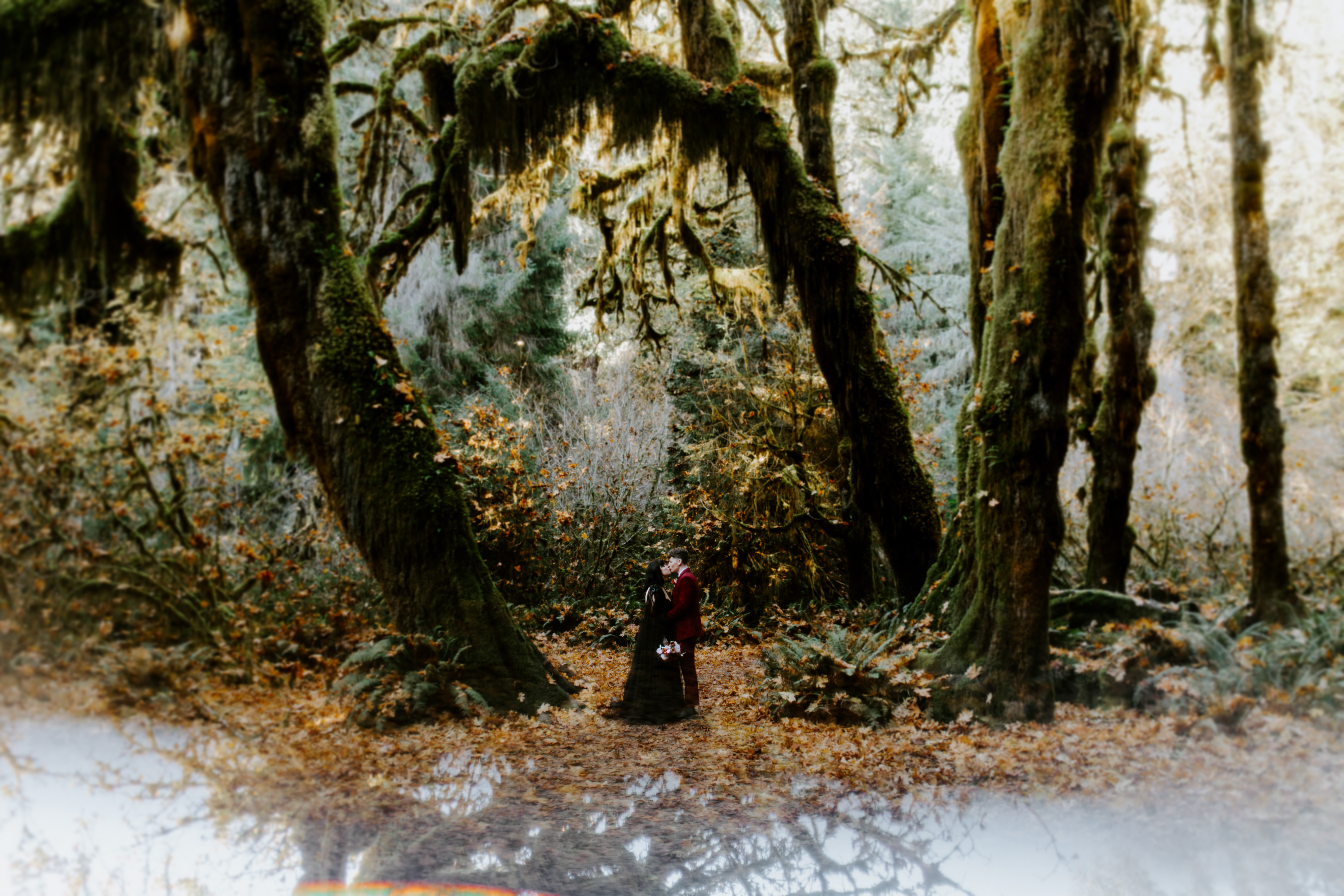Bethany and Brett kiss in the forest of Hoh Rainforest, Washington.
