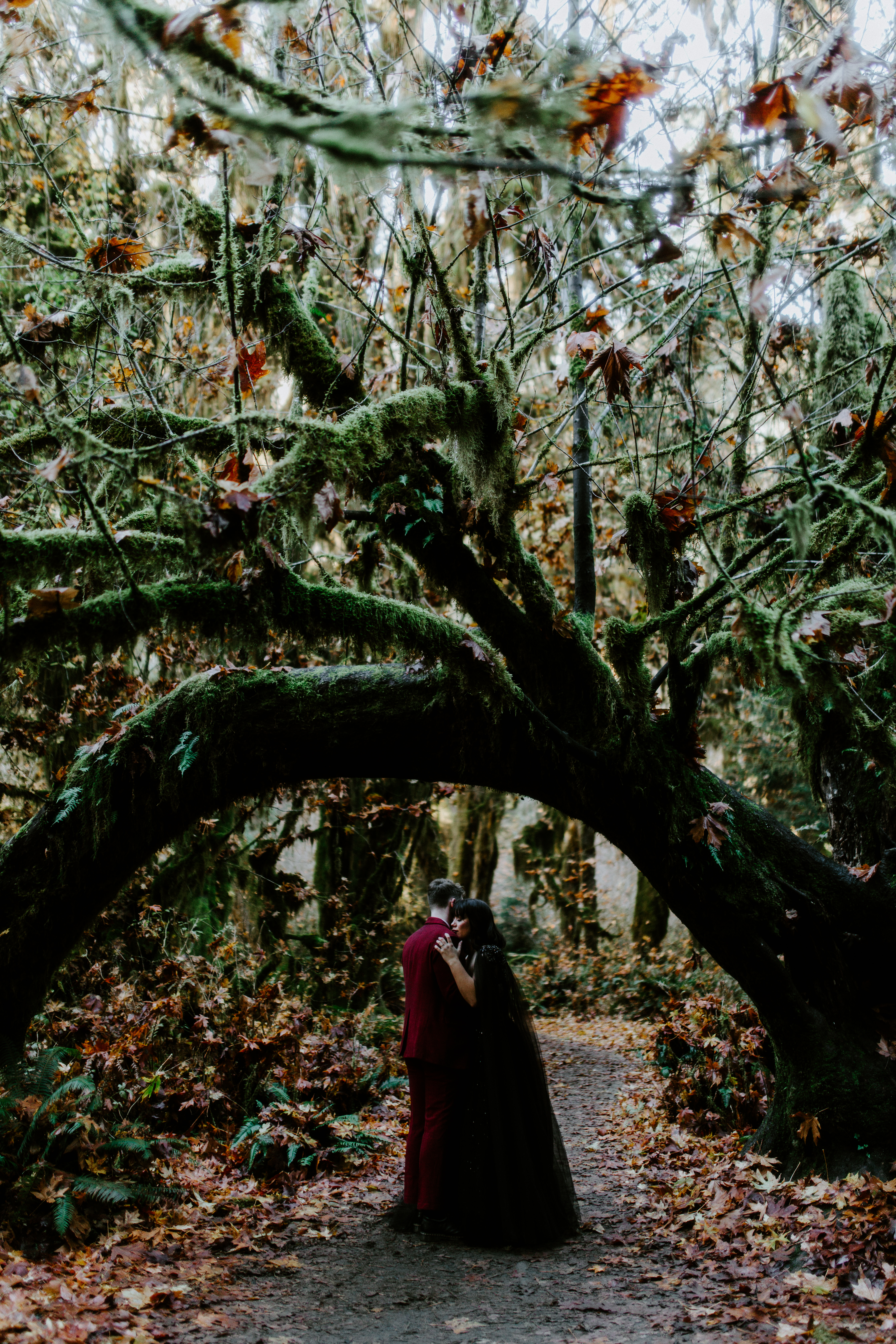 Brett and Bethany hug under a tree on the path of the Hoh Rainforest.
