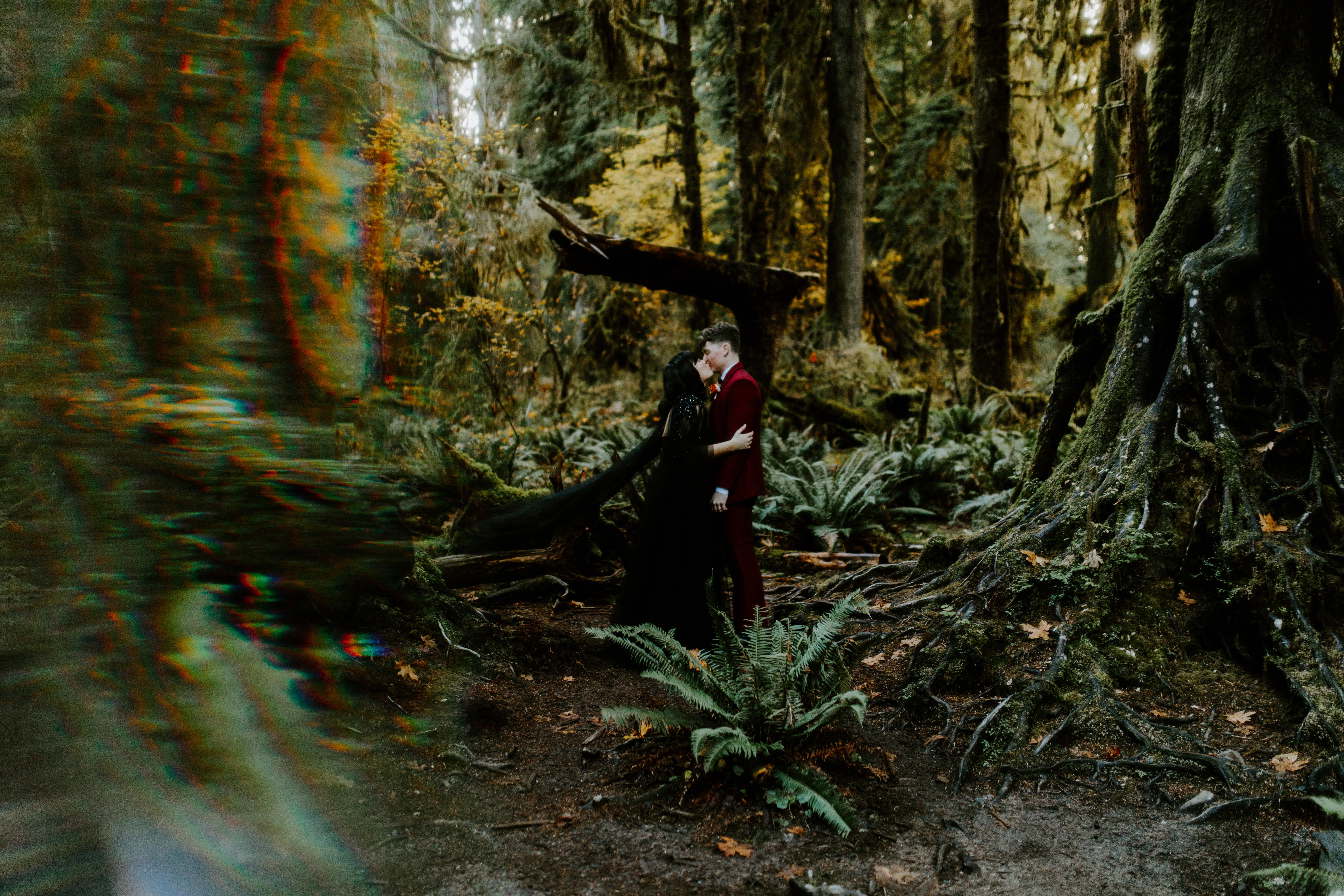 Bethany and Brett kiss in the forest of the Hoh Rainforest after their elopement.