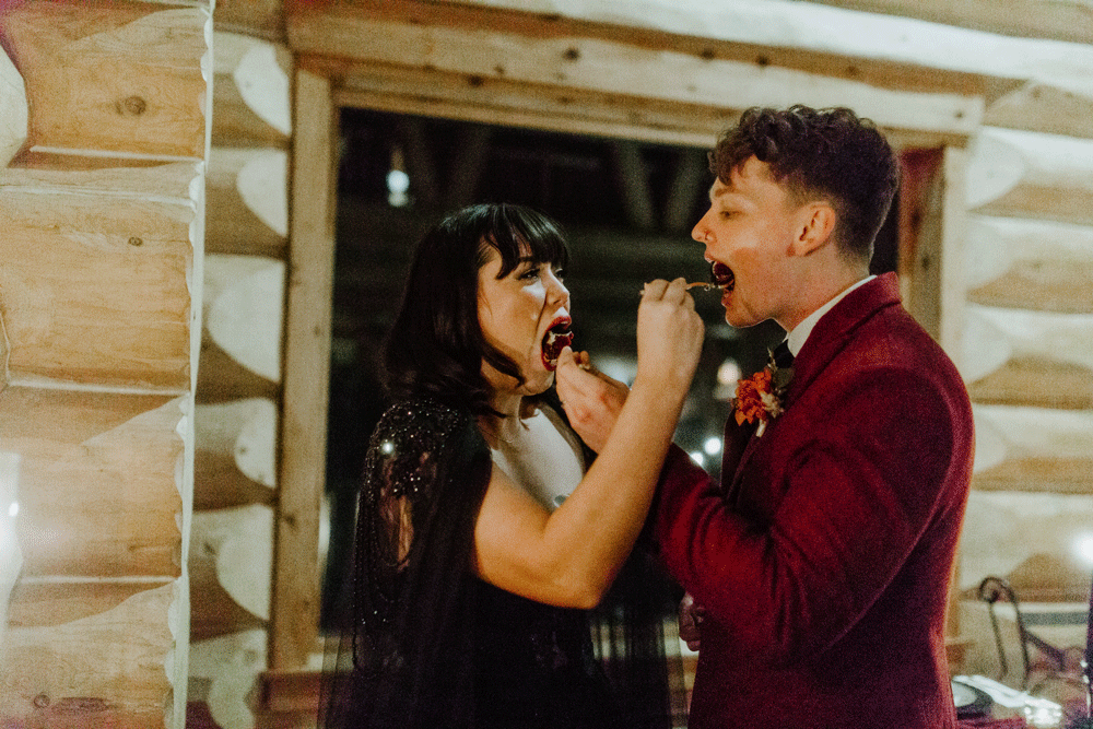 A gif of Brett and Bethany feeding each other cake after their elopement in the Hoh Rainforest.