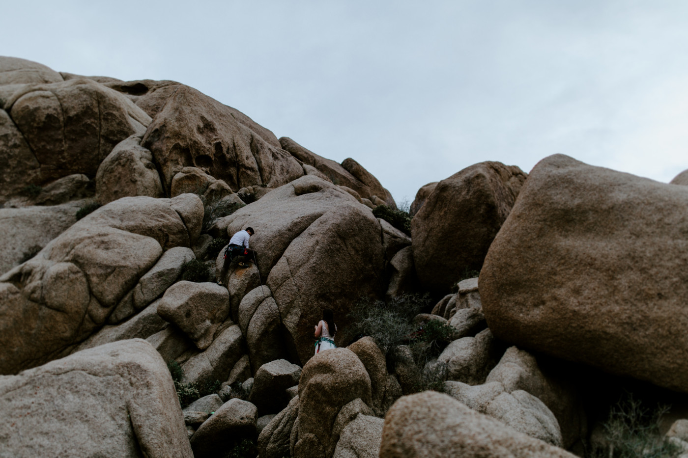 Shelby and Zack rock climb in Joshua Tree.