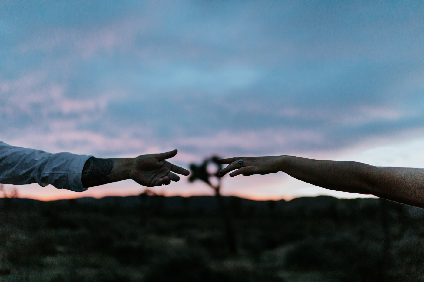 Shelby and Zack reach for each other during sunset in Joshua Tree.