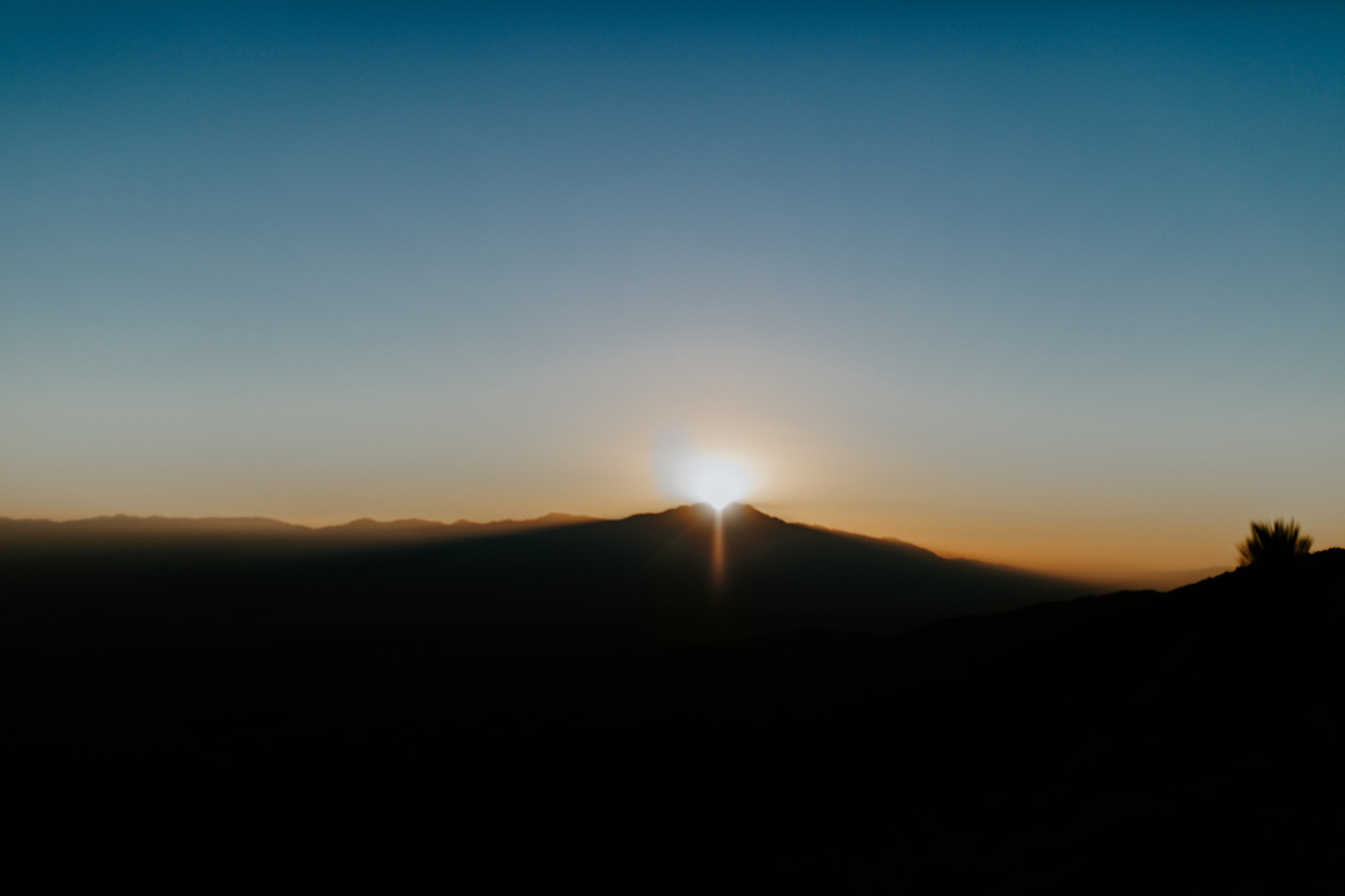 The sun sets in Joshua Tree National Park.