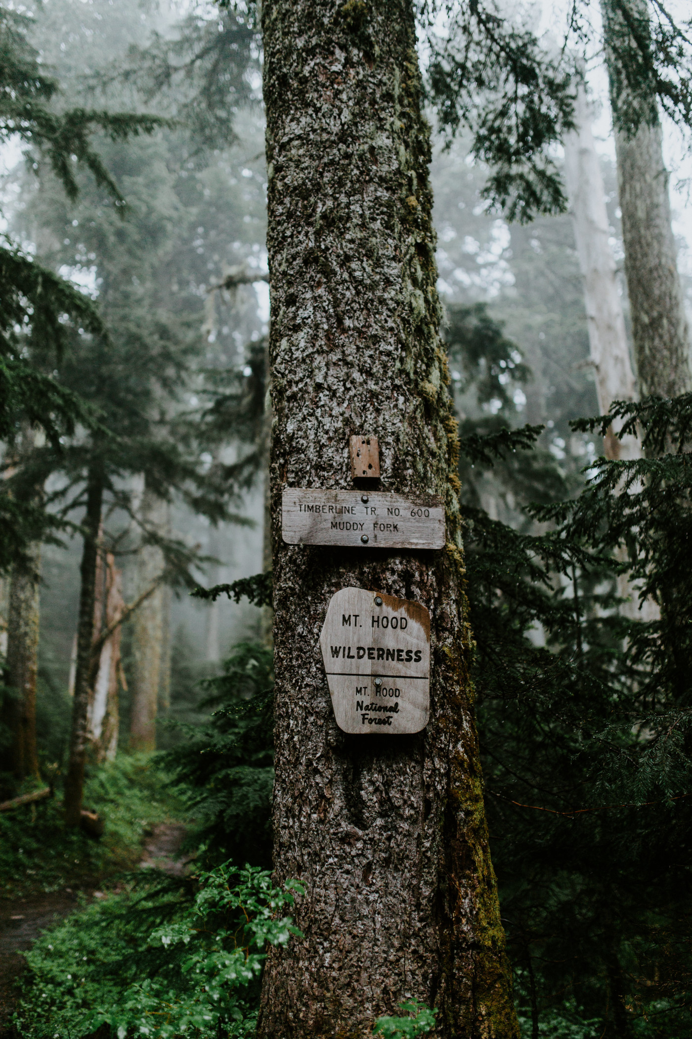 The trailhead sign near Mount Hood. Elopement wedding photography at Mount Hood by Sienna Plus Josh.