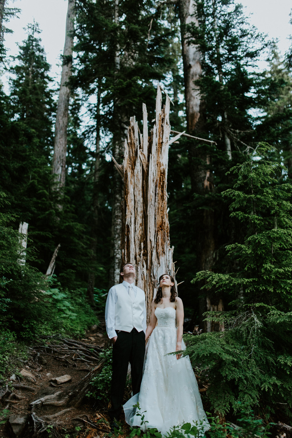 Moira and Ryan stand in front of a downed tree, looking up. Adventure elopement wedding shoot by Sienna Plus Josh.