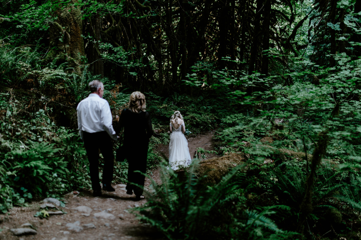 Kylie walks through the forest.