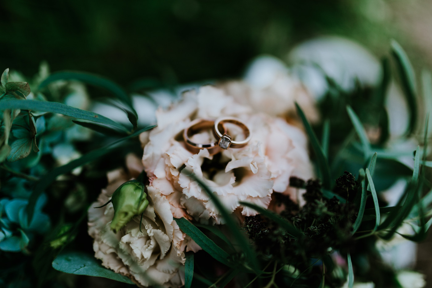 Tasha and Chad's rings sit on Tasha's flowers. Elopement photography at Mount Rainier by Sienna Plus Josh.