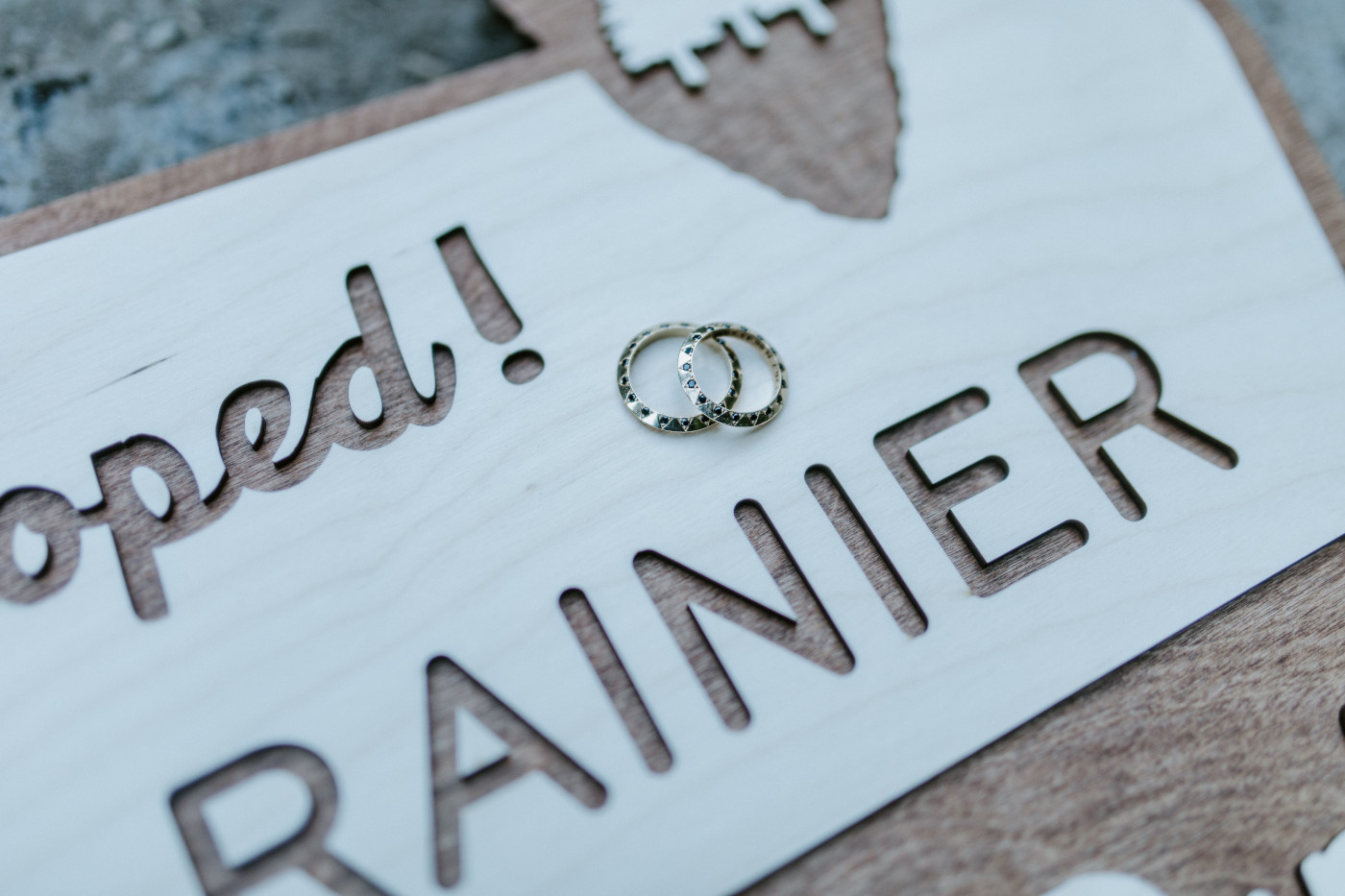 Brooks and Fred's rings sit on a Mount Rainier sign after their elopement.