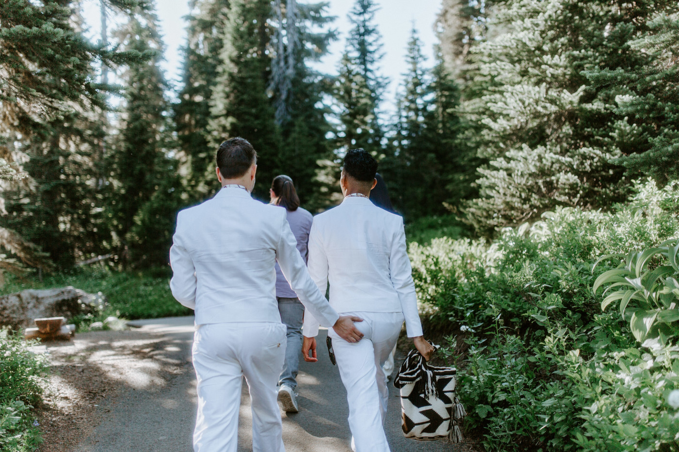 Brooks and Fred walk together in Mount Rainier after their elopement.