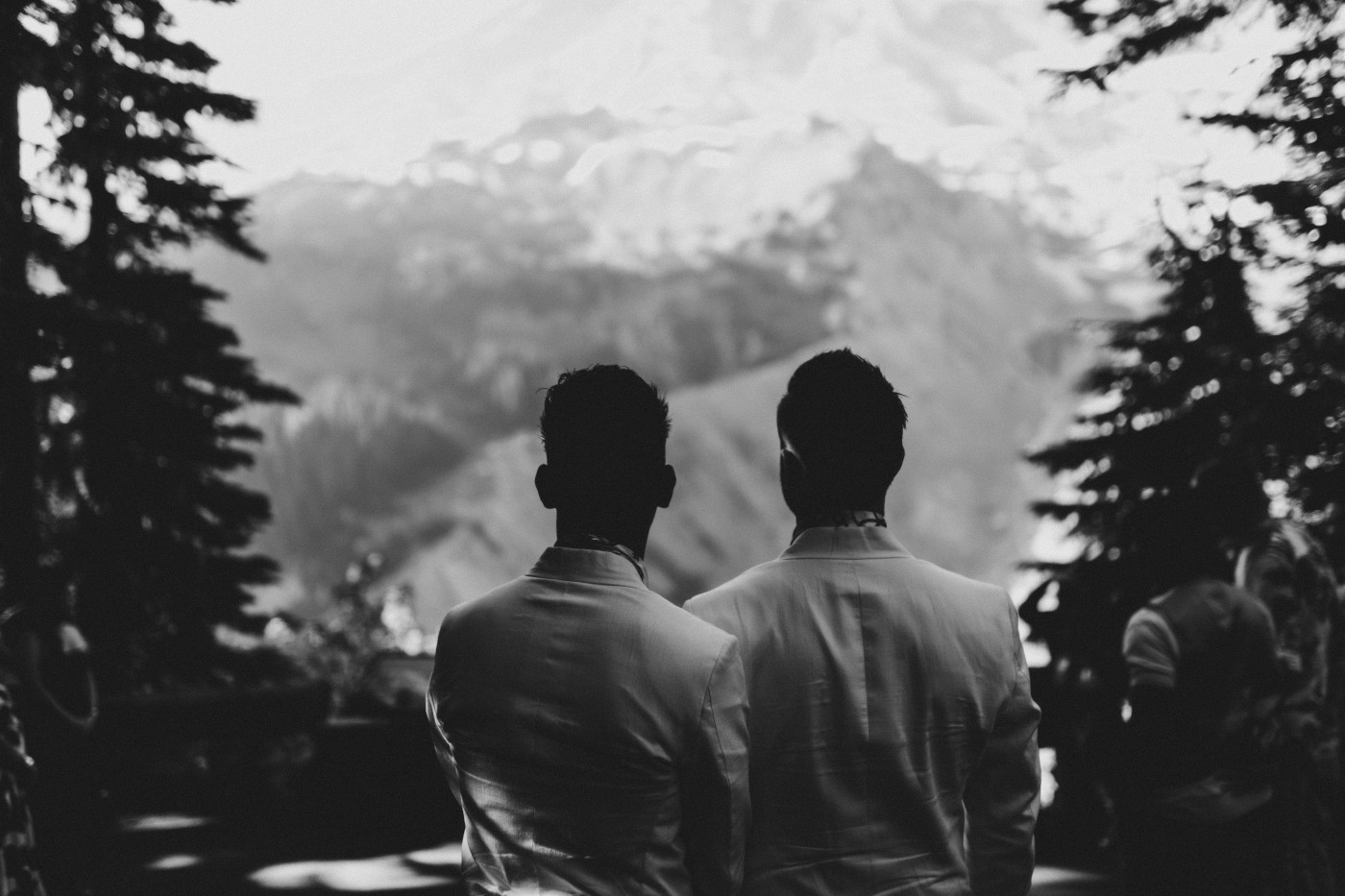 Fred and Brooks take in the view in Mount Rainier after their elopement.