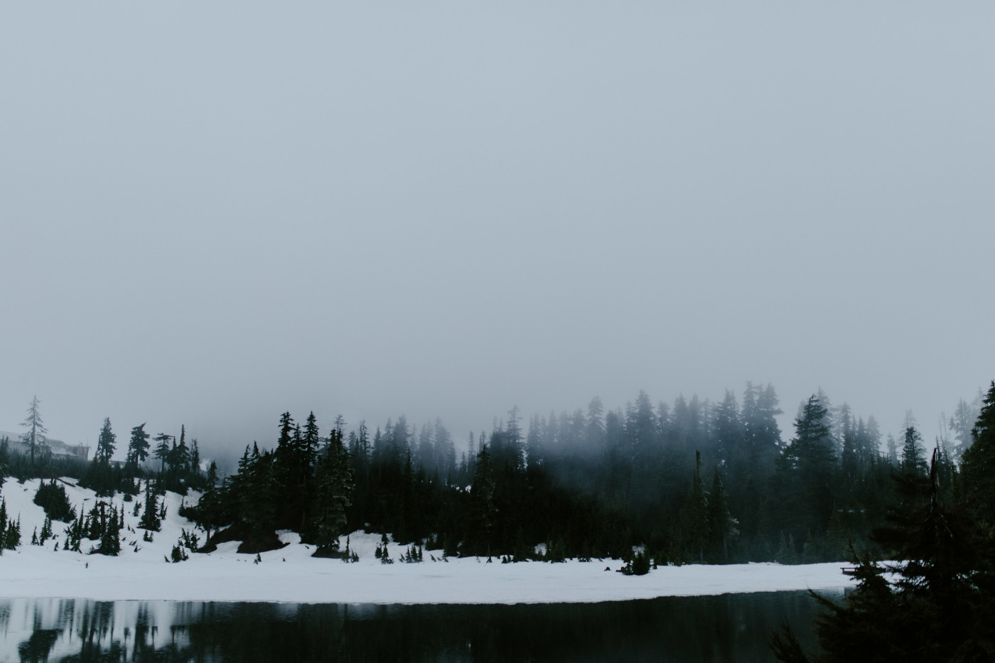 A view of the water, woods, and snow in North Cascades. Elopement photography at North Cascades National Park by Sienna Plus Josh.