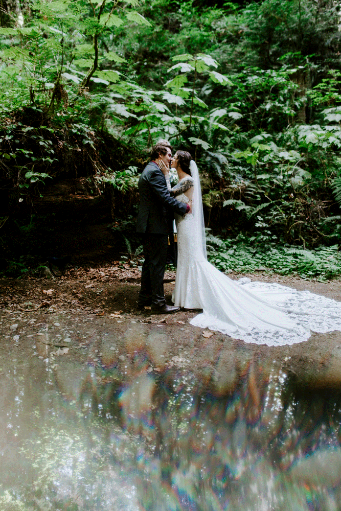 A gif of the newlywed couple sharing a moment together in Olympic National Park.