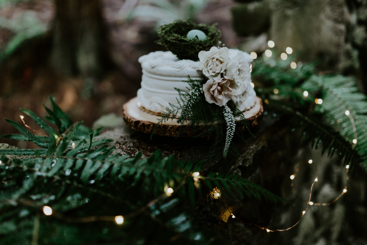 A wedding cake at Skamania House, Washington. Elopement photography in Portland Oregon by Sienna Plus Josh.