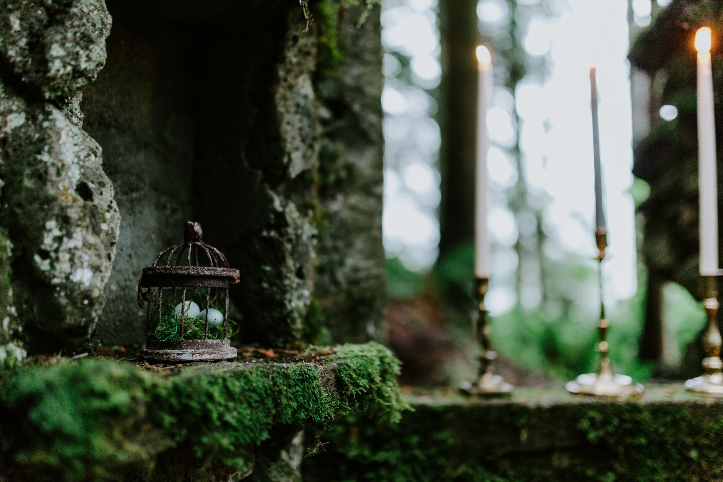 Decorations set through Skamania House in Washington. Elopement photography in Portland Oregon by Sienna Plus Josh.