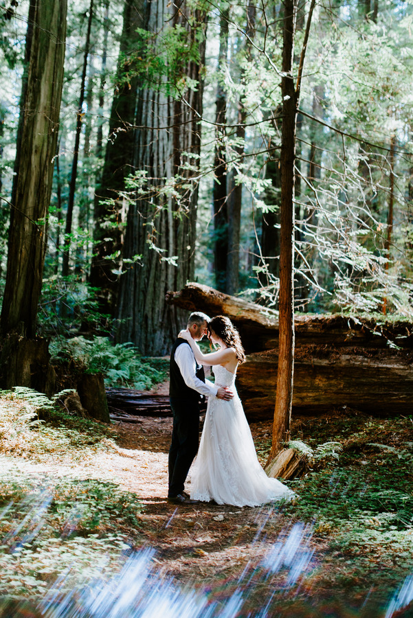 California Redwoods Elopement, CA