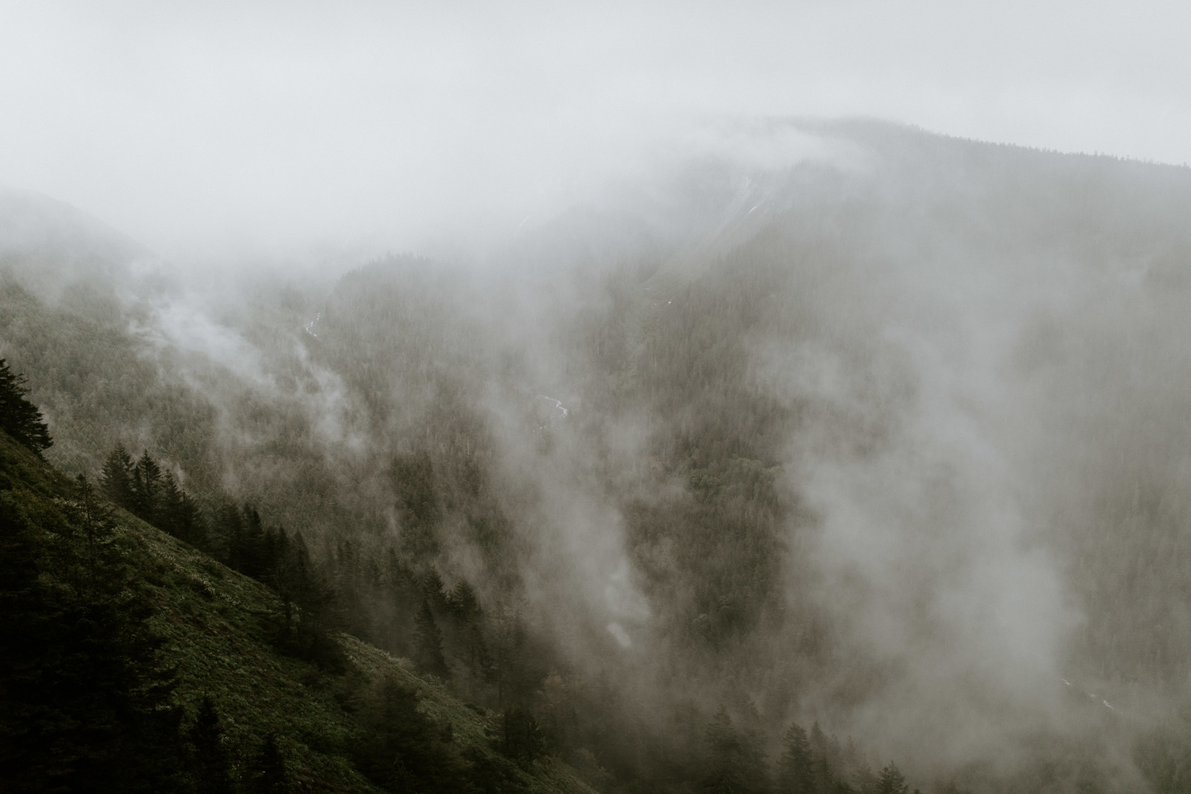 Mount hood obstructed by fog and clouds. Elopement wedding photography at Mount Hood by Sienna Plus Josh.