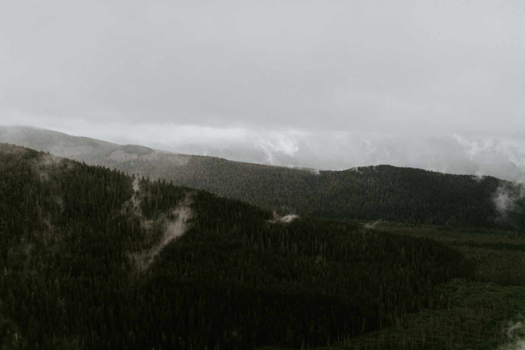 The view of the trees at Mount Hood. Elopement wedding photography at Mount Hood by Sienna Plus Josh.